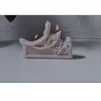 قالب سیلیکونی تو مراجان و جهانی