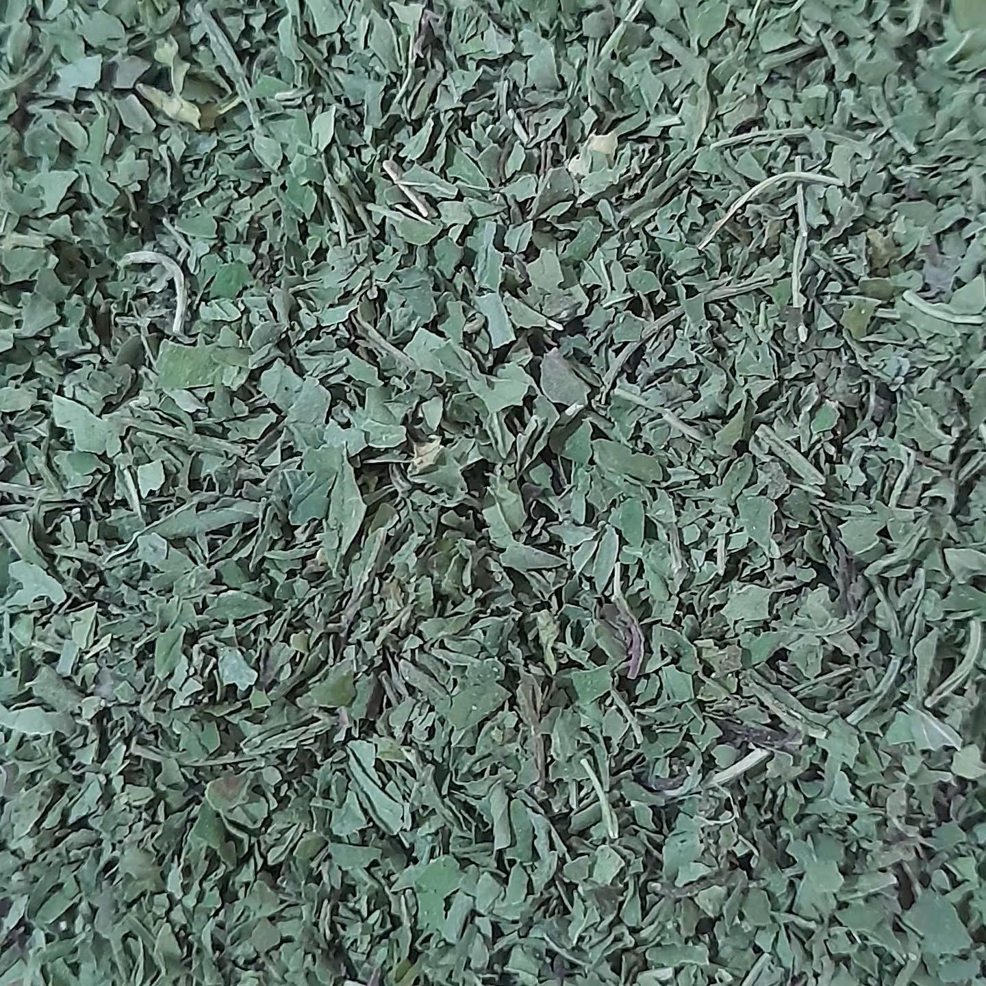 نعناخشک تمیز وتازه و ارگانیک شمال (100 گرم)