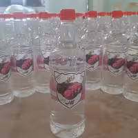 گلاب معمولی طلاریز