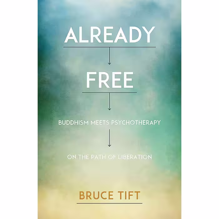 کتاب زبان اصلی Already Free اثر Bruce Tift MA  LMFT and Tami Simon