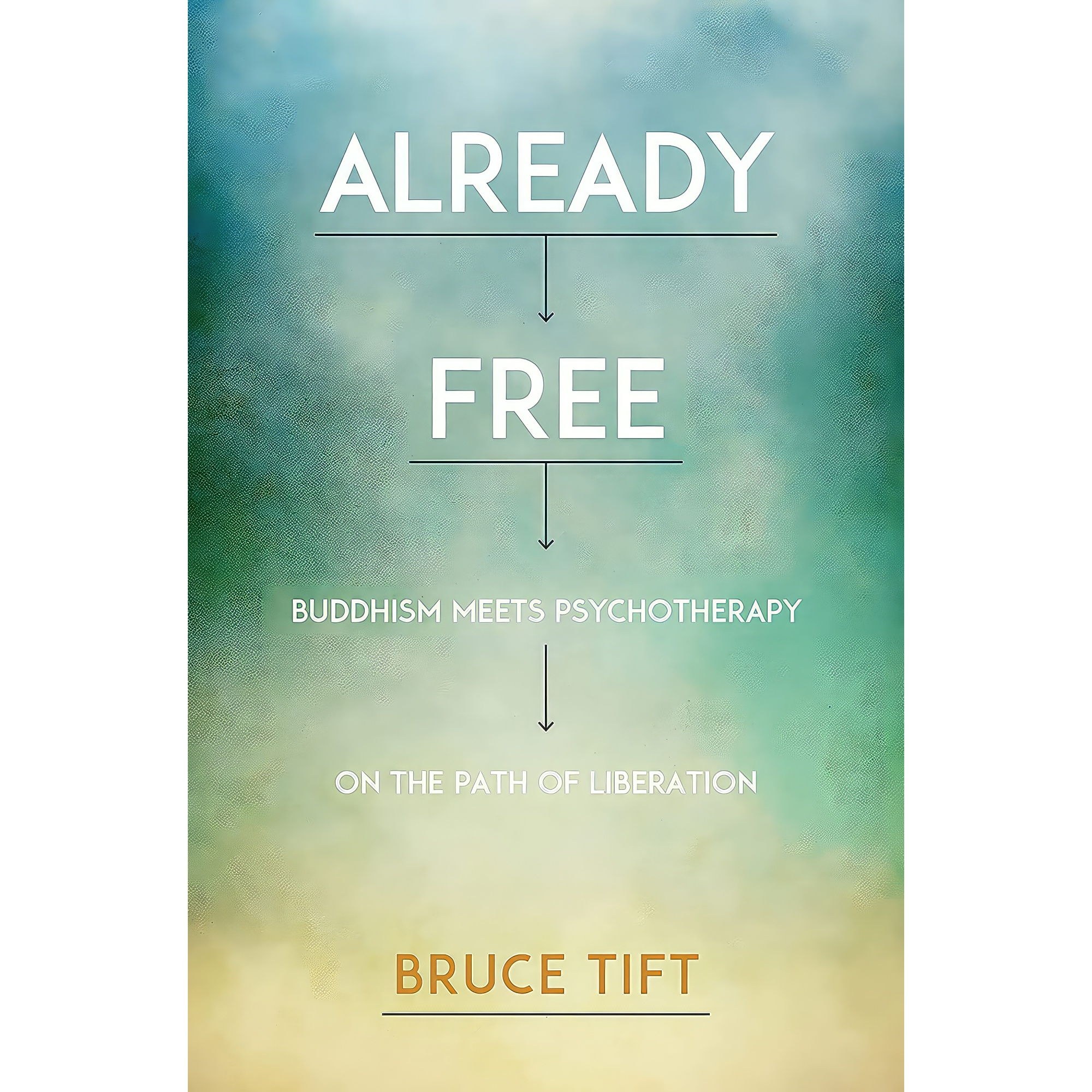 کتاب زبان اصلی Already Free اثر Bruce Tift MA LMFT and Tami Simon