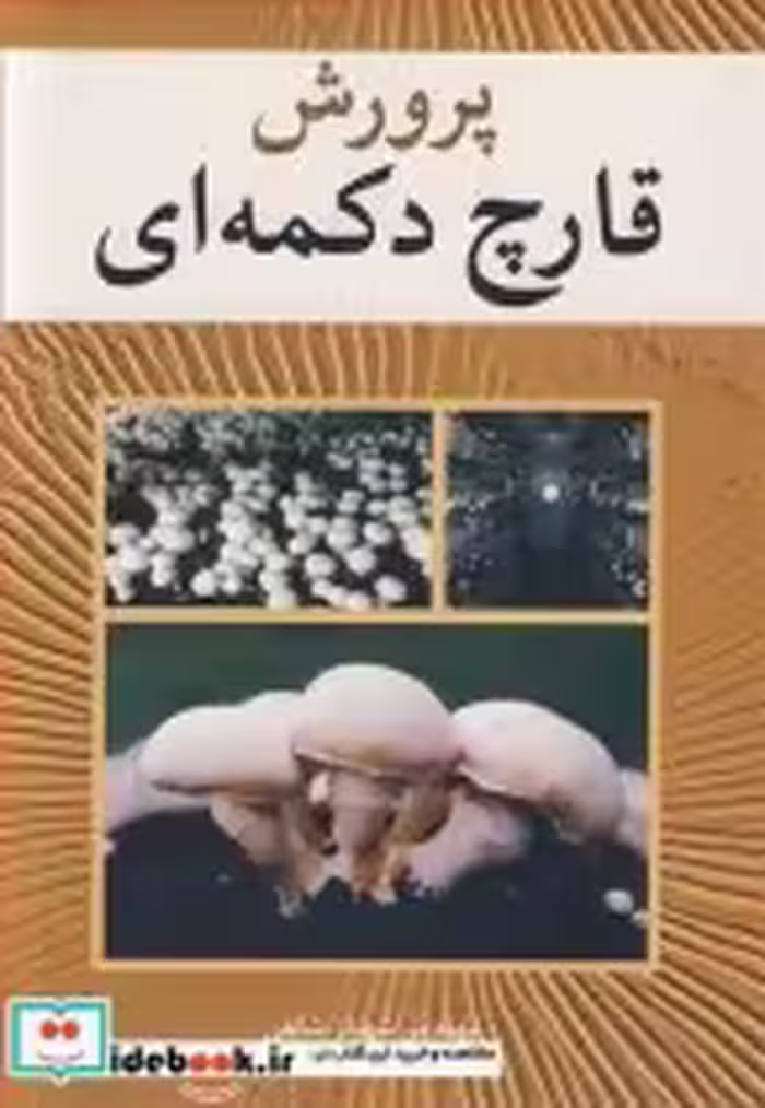 قیمت و خرید کتاب پرورش قارچ دکمه ای اثر مهندس شهناز شاهی | ایده بوک