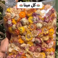 گل مینا تمیز و سورت شده  1 کیلوگرمی آقای زعفران