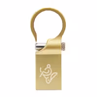 فلش مموری   HOOK IQ303 64GB