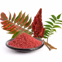 سماق قرمزخالص1000گرمی KFC