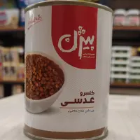 کنسرو عدسی بیژن 
