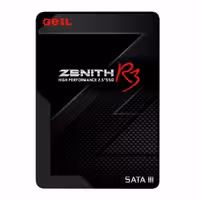 اس اس دی گیل Zenith R3 SATA III 120GB