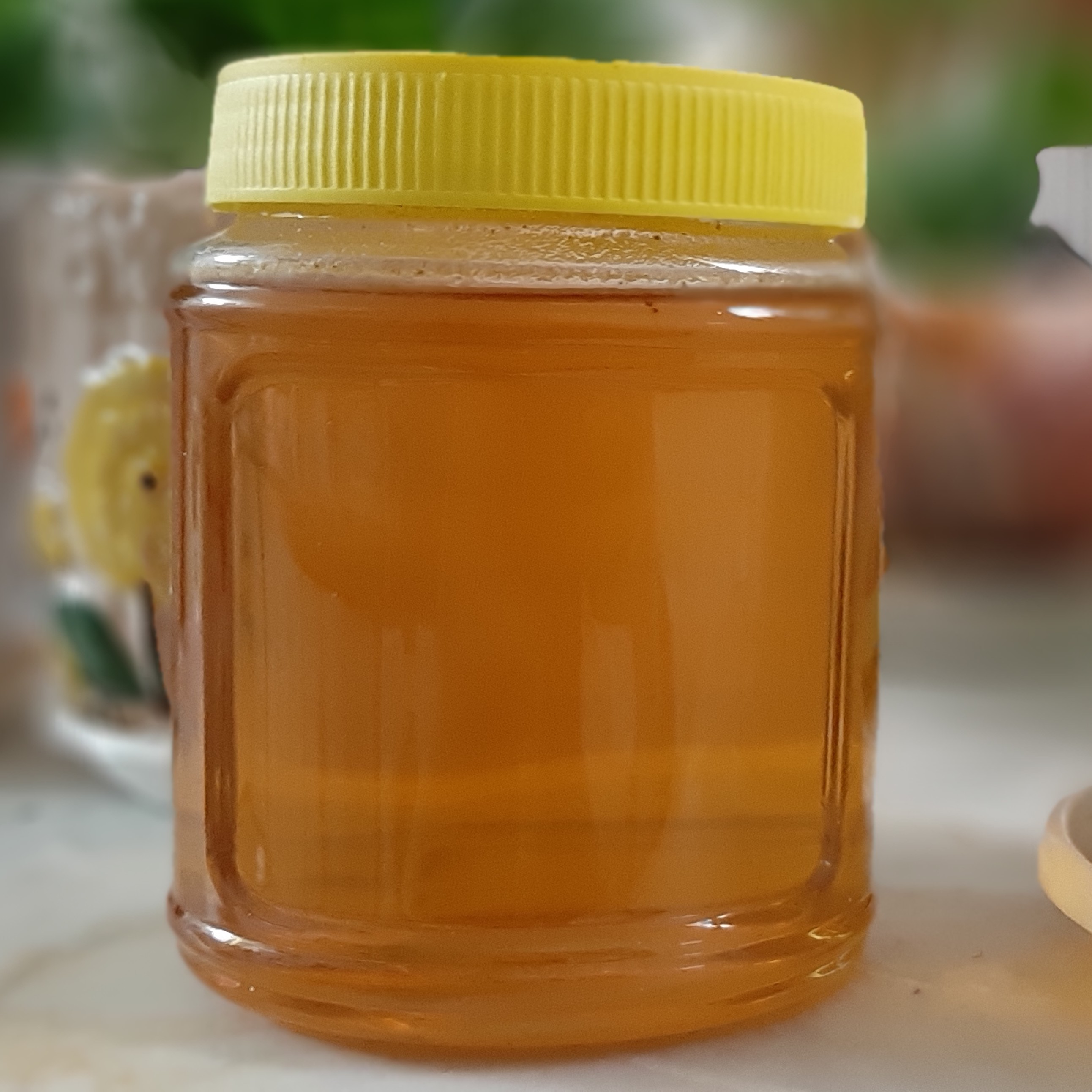 عسل طبیعی اصل یک کیلویی تازه فاقد شکر صددرصد طبیعی کیفیت بالا (پس کرایه)