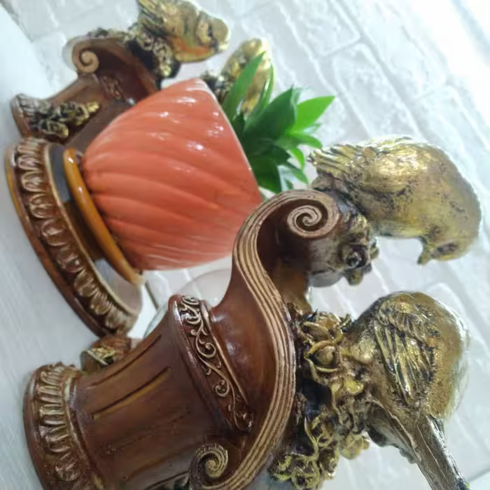 جای تنگ ماهی و جای گلدون