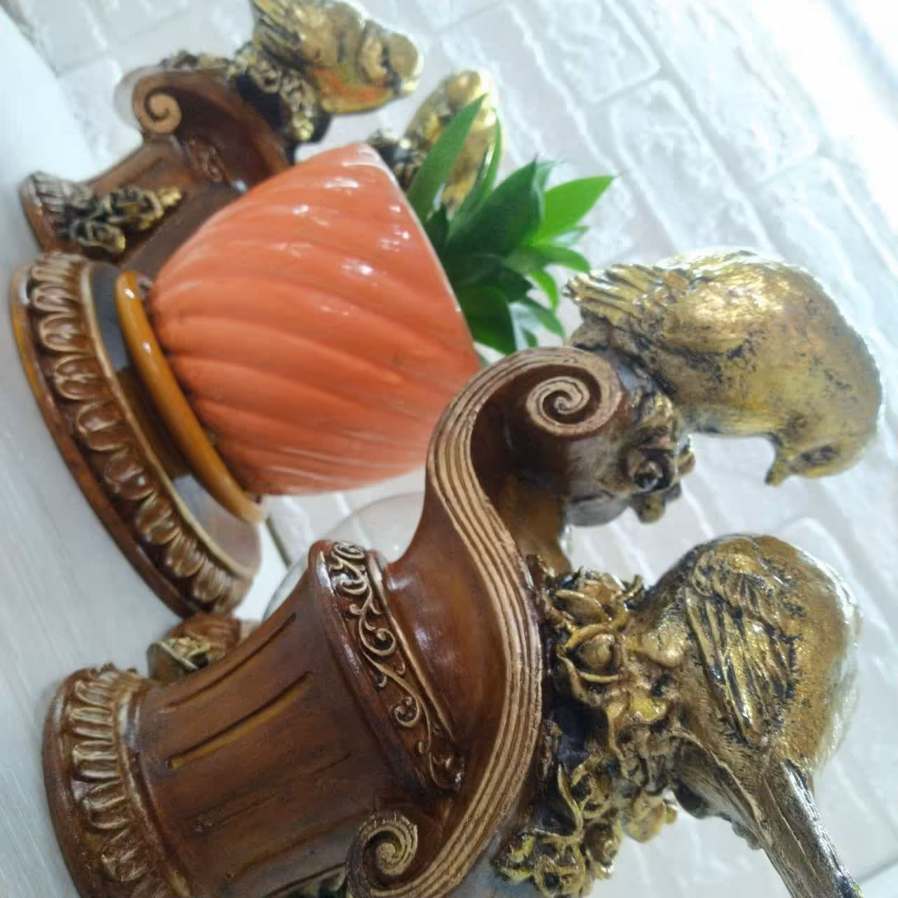 جای تنگ ماهی و جای گلدون