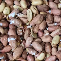 بادام زمینی آستانه تگری 500 گرمی