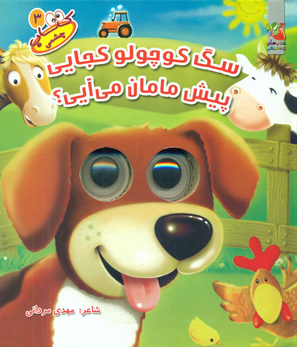 کتاب چشمکی 3 اثر مهدی مردانی