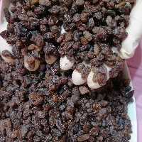 کشمش بدون هسته ارگانیک آفتابی روستاهای  تاکستان  