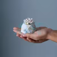  جاشمعی الماسی مدل  Candlestick Diamond