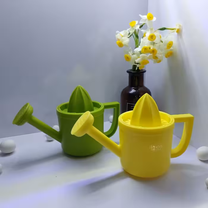 آبمیوه گیری فانتزی