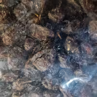 مویز  تازه(197گرم)