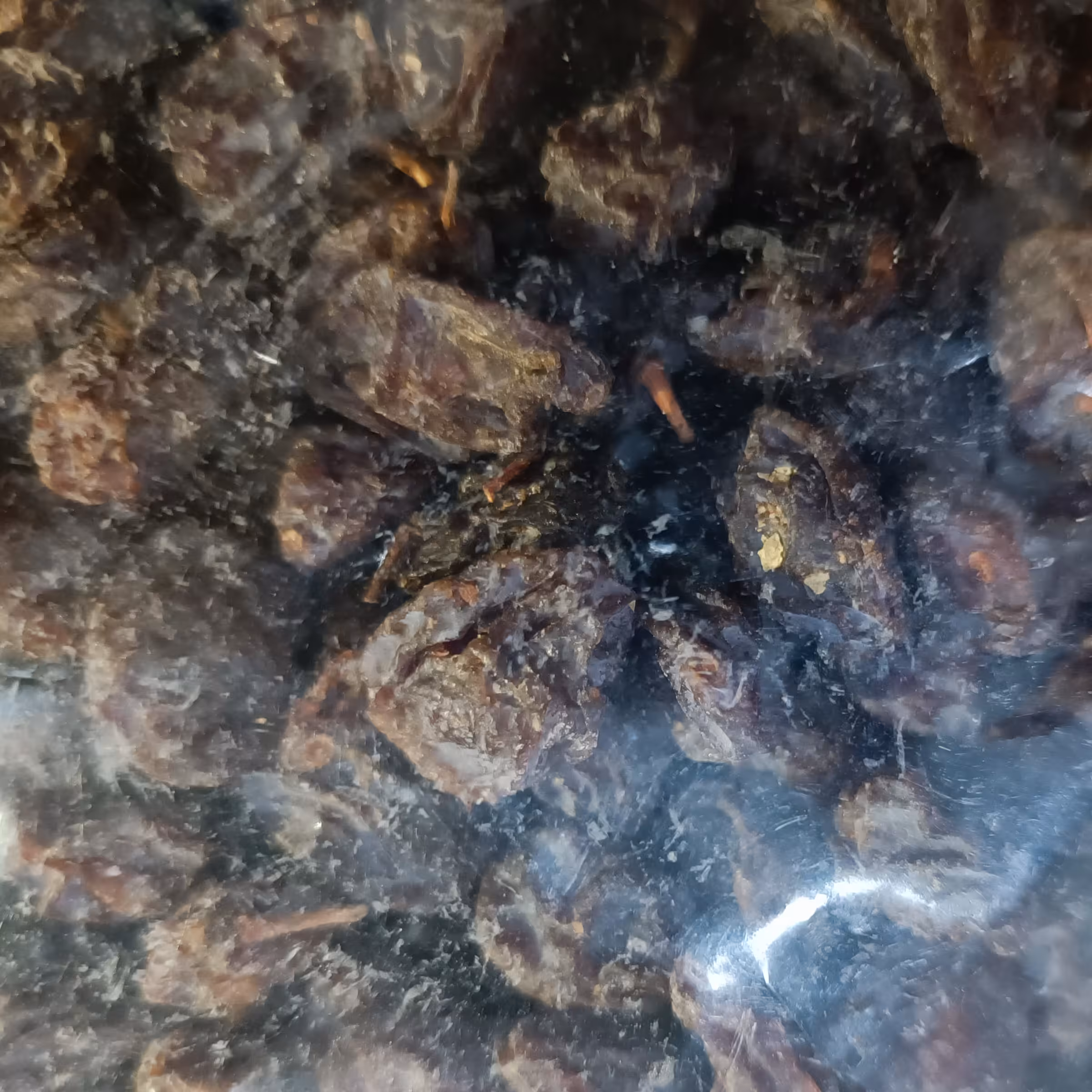 مویز  تازه(197گرم)