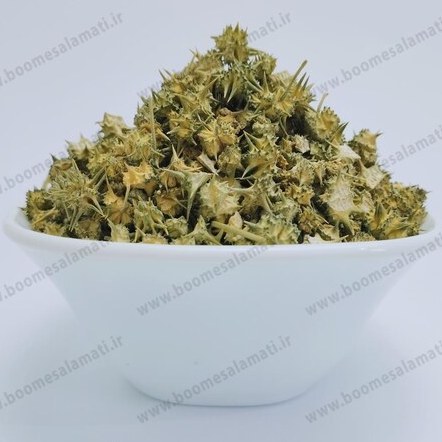 خارخسک ( Land Caltrops ) ( Tribulus Terrestris ) 500 گرم