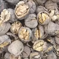 گردو پوست نازک محلی درجه یک  کردستان. چرب و خوشمزه