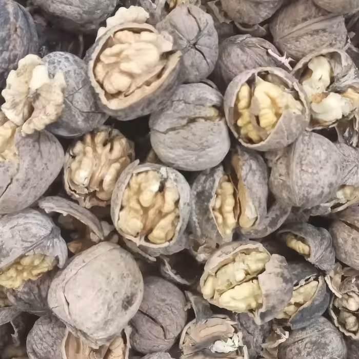 گردو پوست نازک محلی درجه یک  کردستان. چرب و خوشمزه