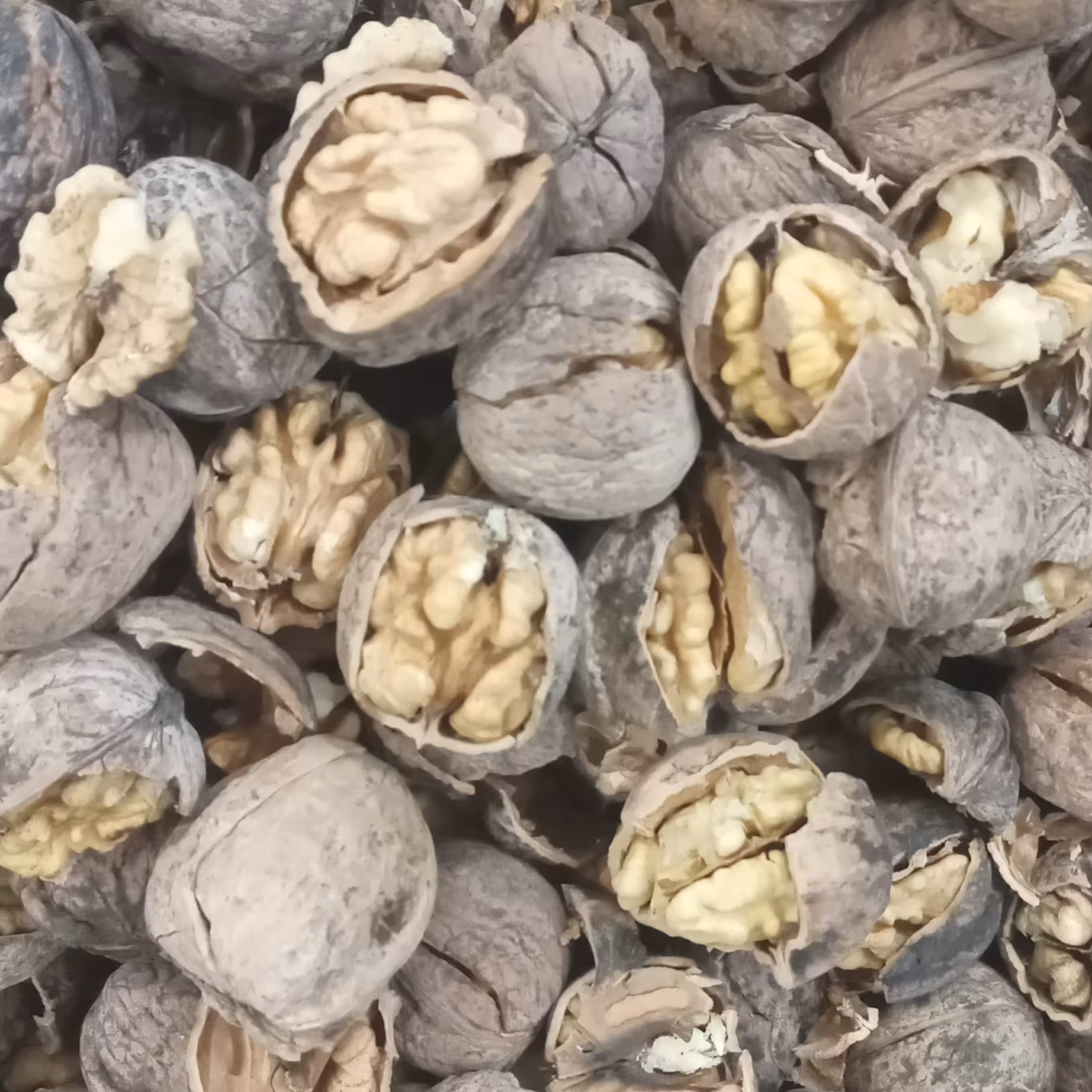 گردو پوست نازک محلی درجه یک  کردستان. چرب و خوشمزه