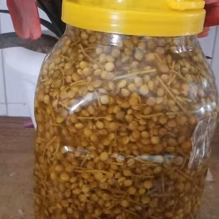 ترشی بنه بسیار خوشمزه و ترد می باشد که از نوع ترشی محلی مخصوص جهرم است