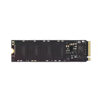 اس اس دی لکسار NM620 با ظرفیت 1 ترابایت