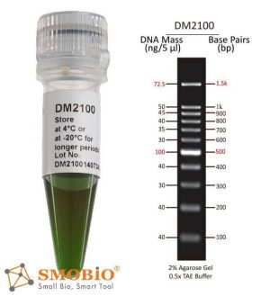 دی ان ای لدر 500ul , 100 bp DNA Ladder