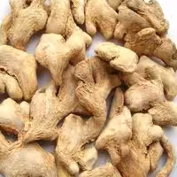 زنجبیل قلمی تازه و درجه یک(یک کیلو)