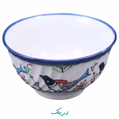 کاسه آش خوری مرغی رنگی
