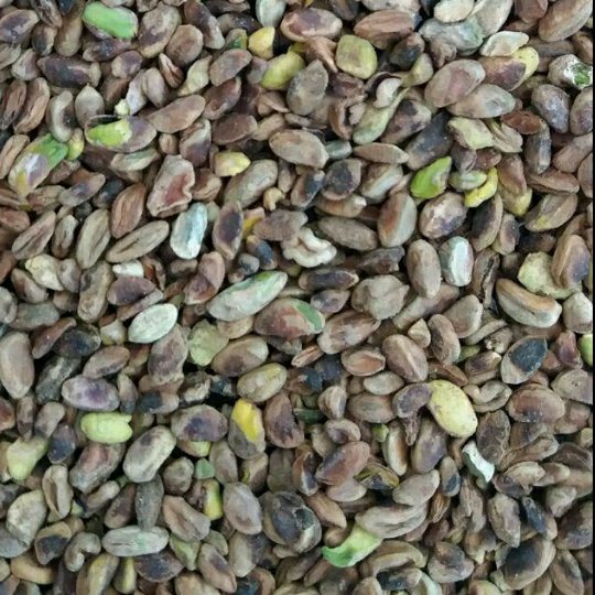مغز پسته تازه و امسالی