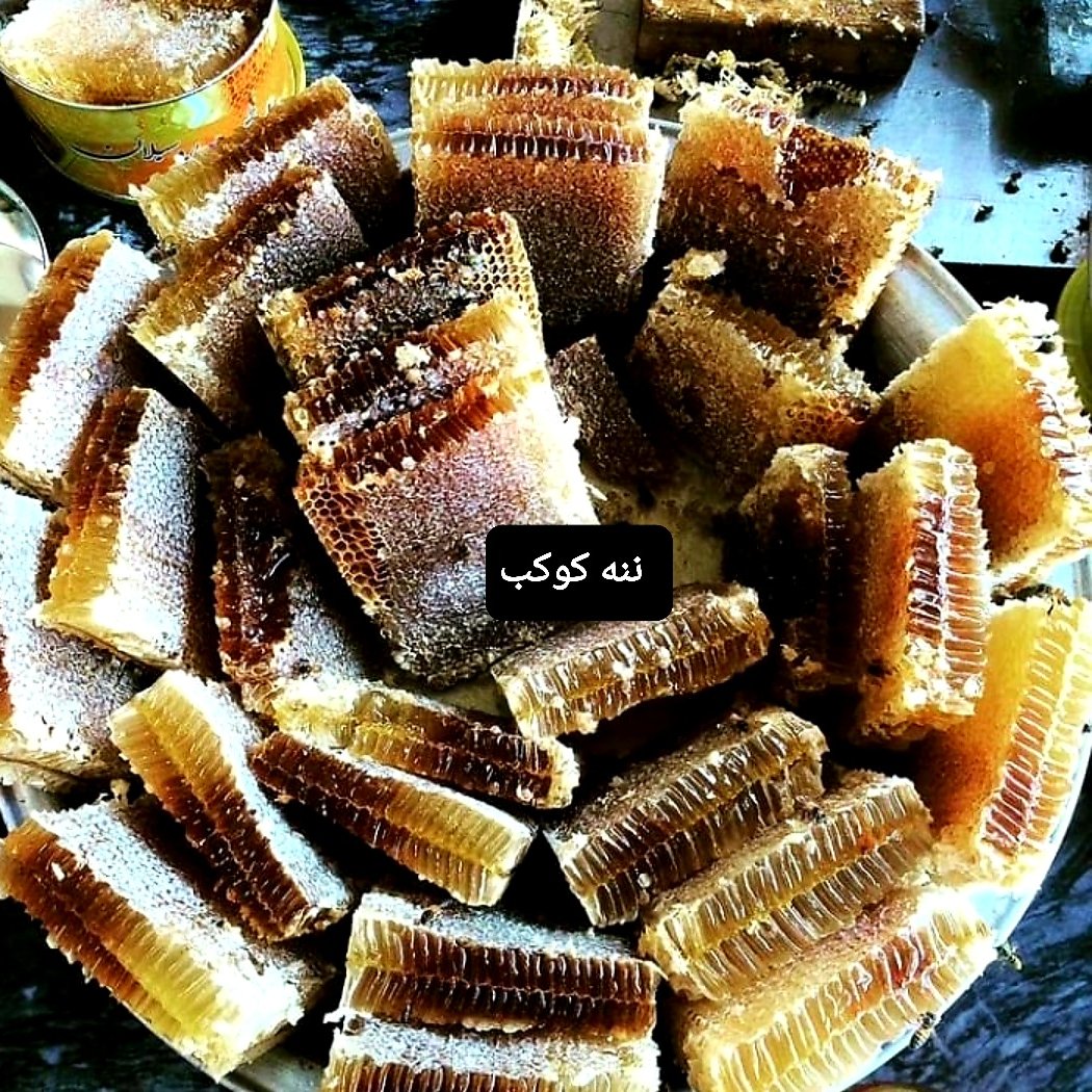 عسل مومدار شقایق (نه نه کوکب)