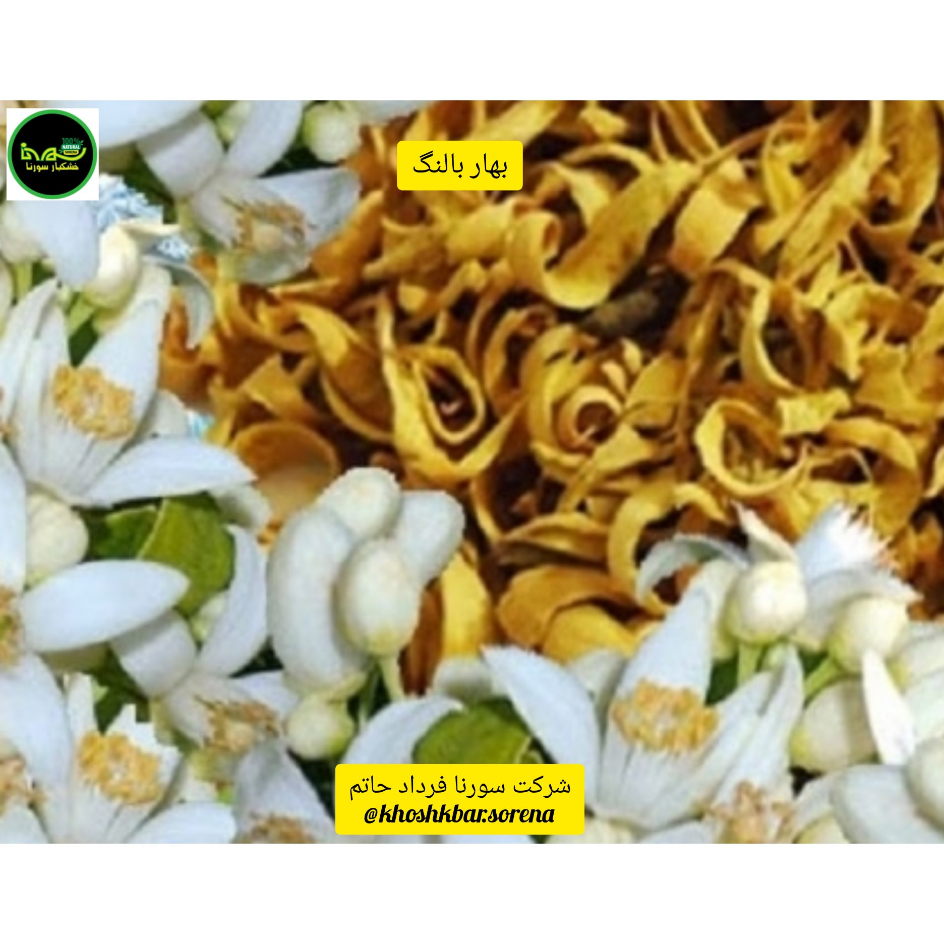 بهار بالنگ محلی درجه یک(مازندران،قائمشهر) در بسته بندی 125 گرمی