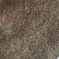 آویشن کوهی 500 گرمی (تضمین کیفیت)