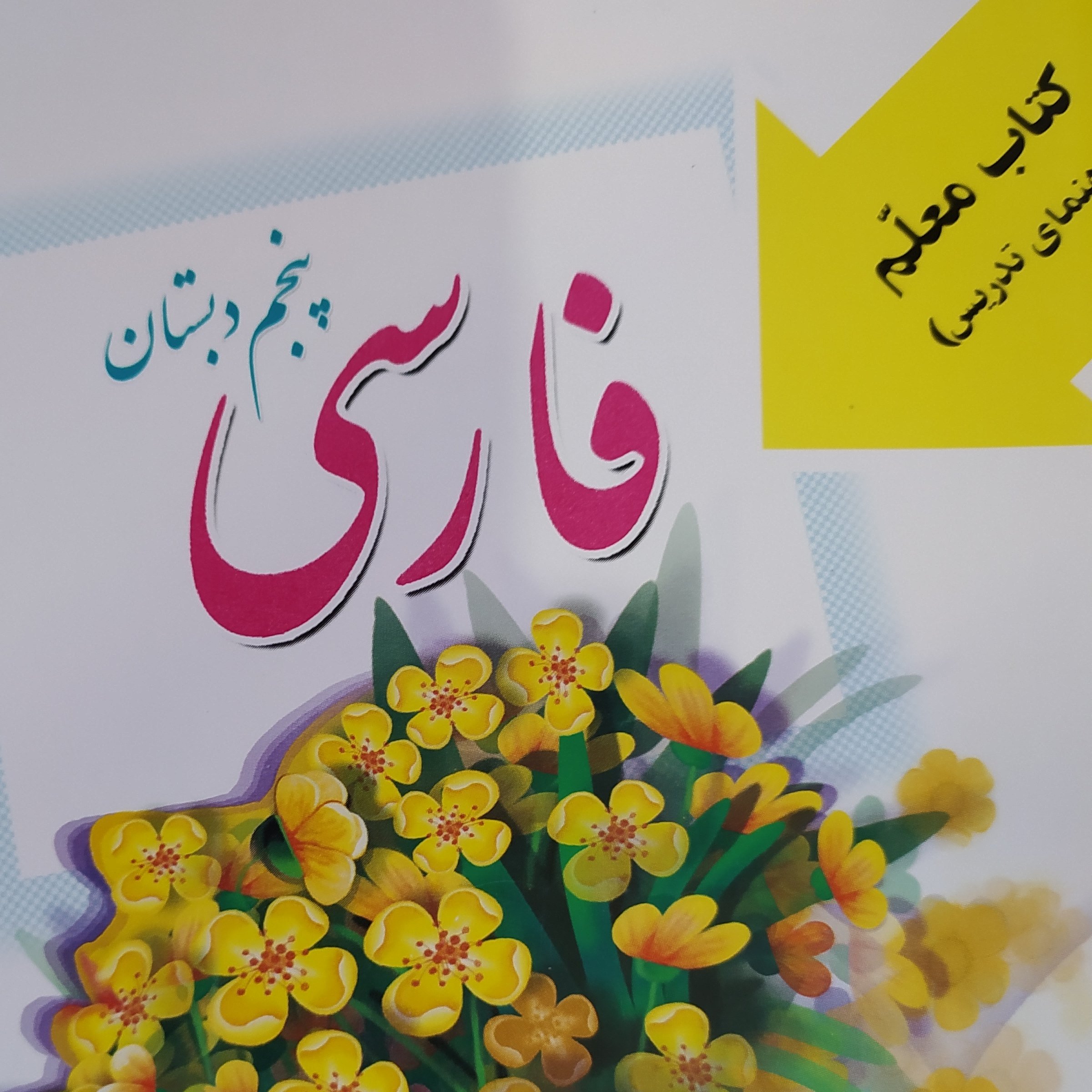 کتاب راهنمای تدریس فارسی پنجم دبستان