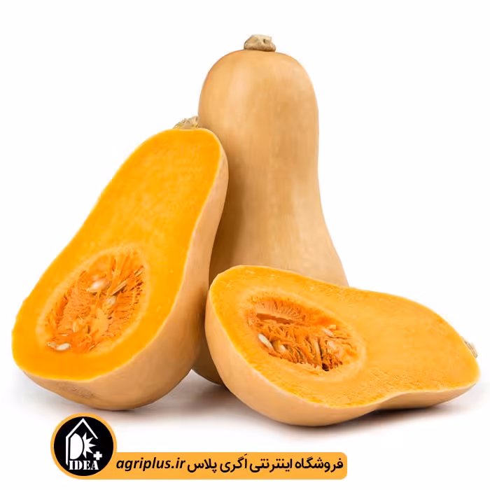 بذر کدو حلوایی بسته بندی خانگی