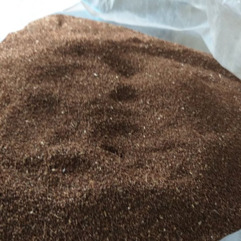 بذر گل مغربی پابلند زرد با قوه نامیه بالا مخصوص کاشت و روغن گیری 1 کیلویی