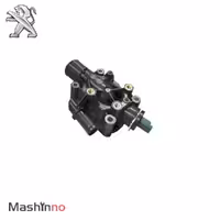 ترموستات پژو301