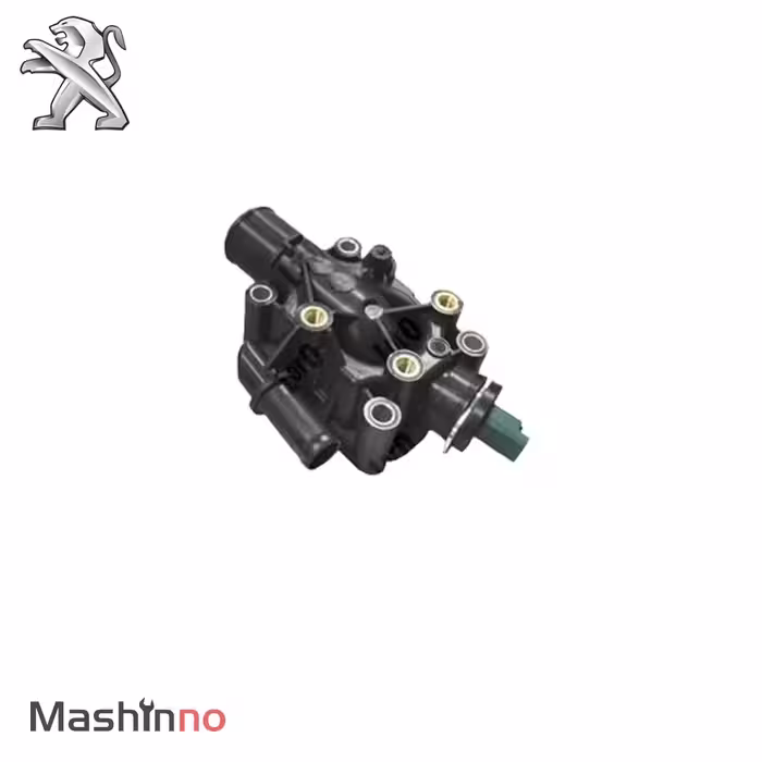 ترموستات پژو301