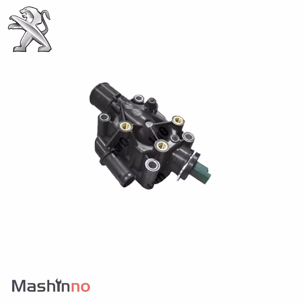 ترموستات پژو301