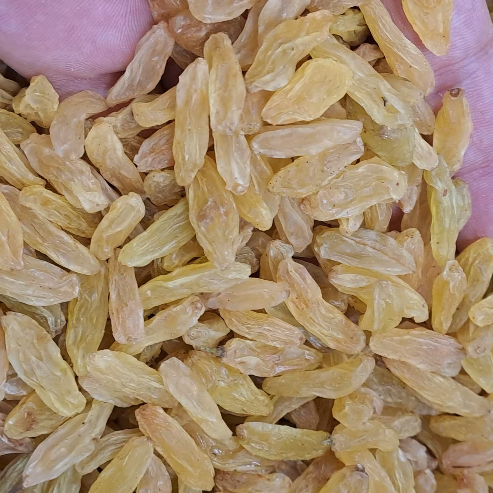 کشمش سبز (درجه یک)