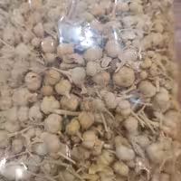 اسپند فله ای