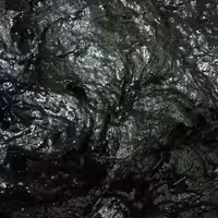 رب و تمر چند میوه محلی گیلان 