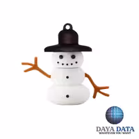 فلش مموری فانتزی دایا دیتا  آدم برفی  مدل PF1003-5 ظرفیت64GB-USB2