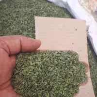  سبزی نعنا خشک