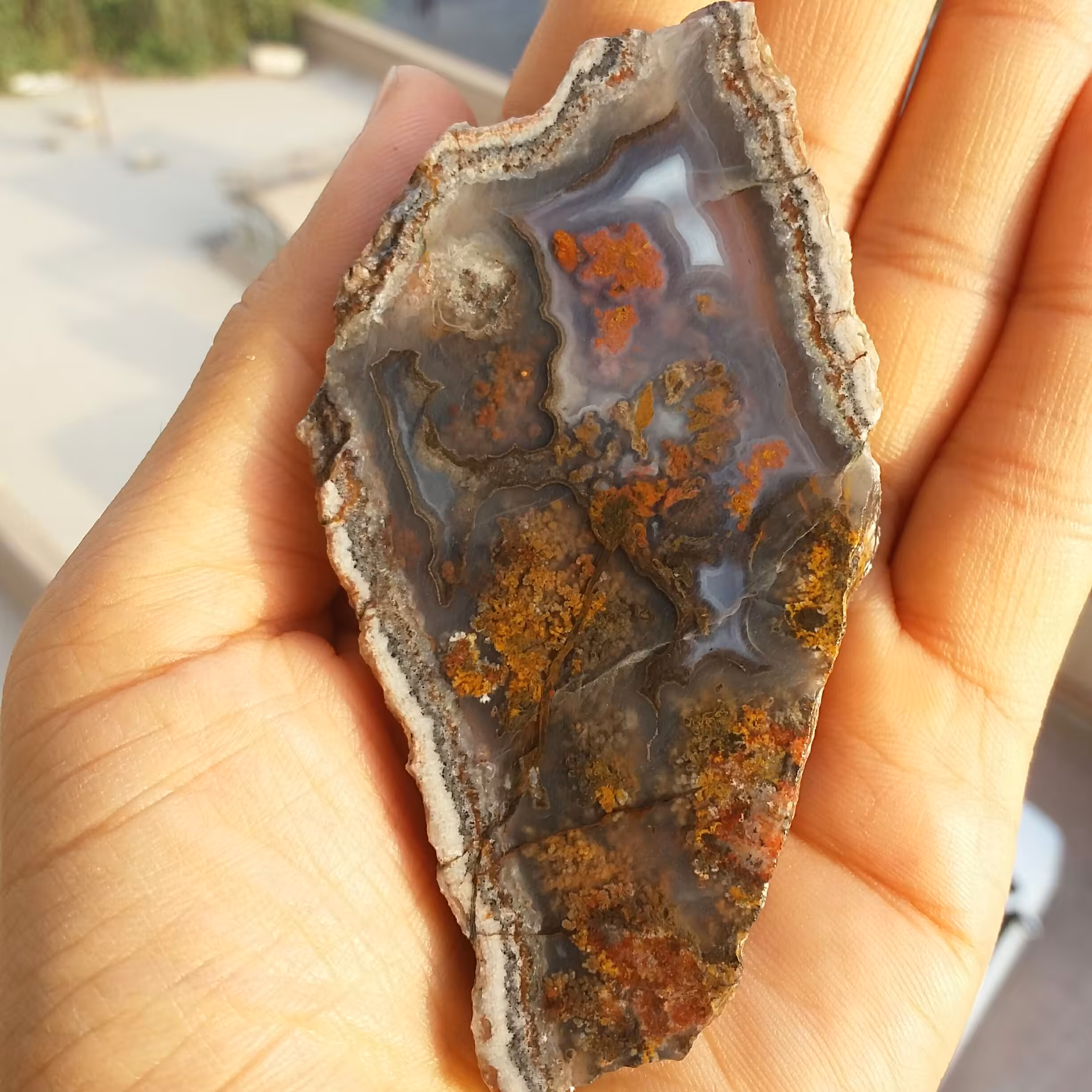 اسلایس سنگ راف شجر دریایی 7رنگ بسیاااااار نادر و خاااااااص محشر کاملا طبیعی
شاهکار خلقت
خارق العاده