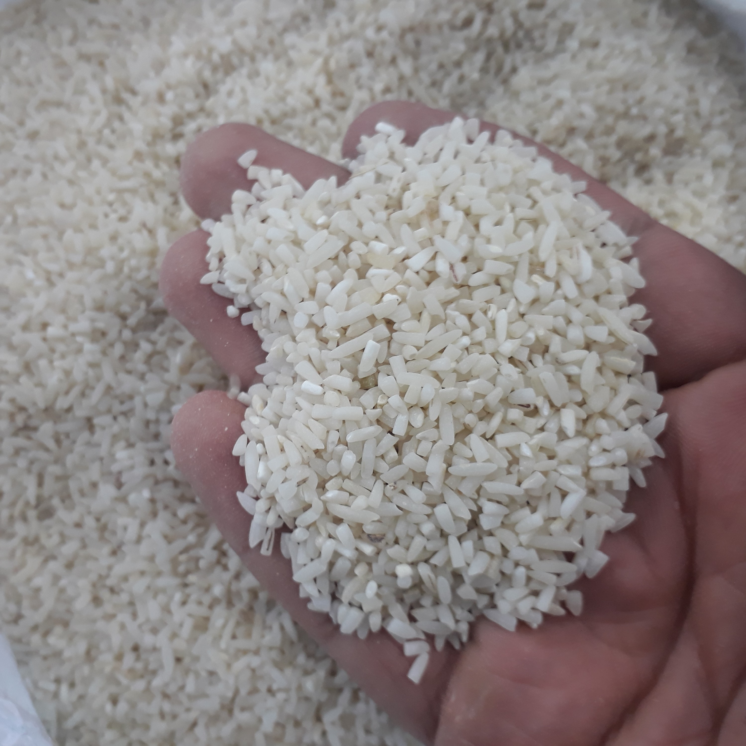 برنج سر لاشه طارم معطر(یک کیلویی)