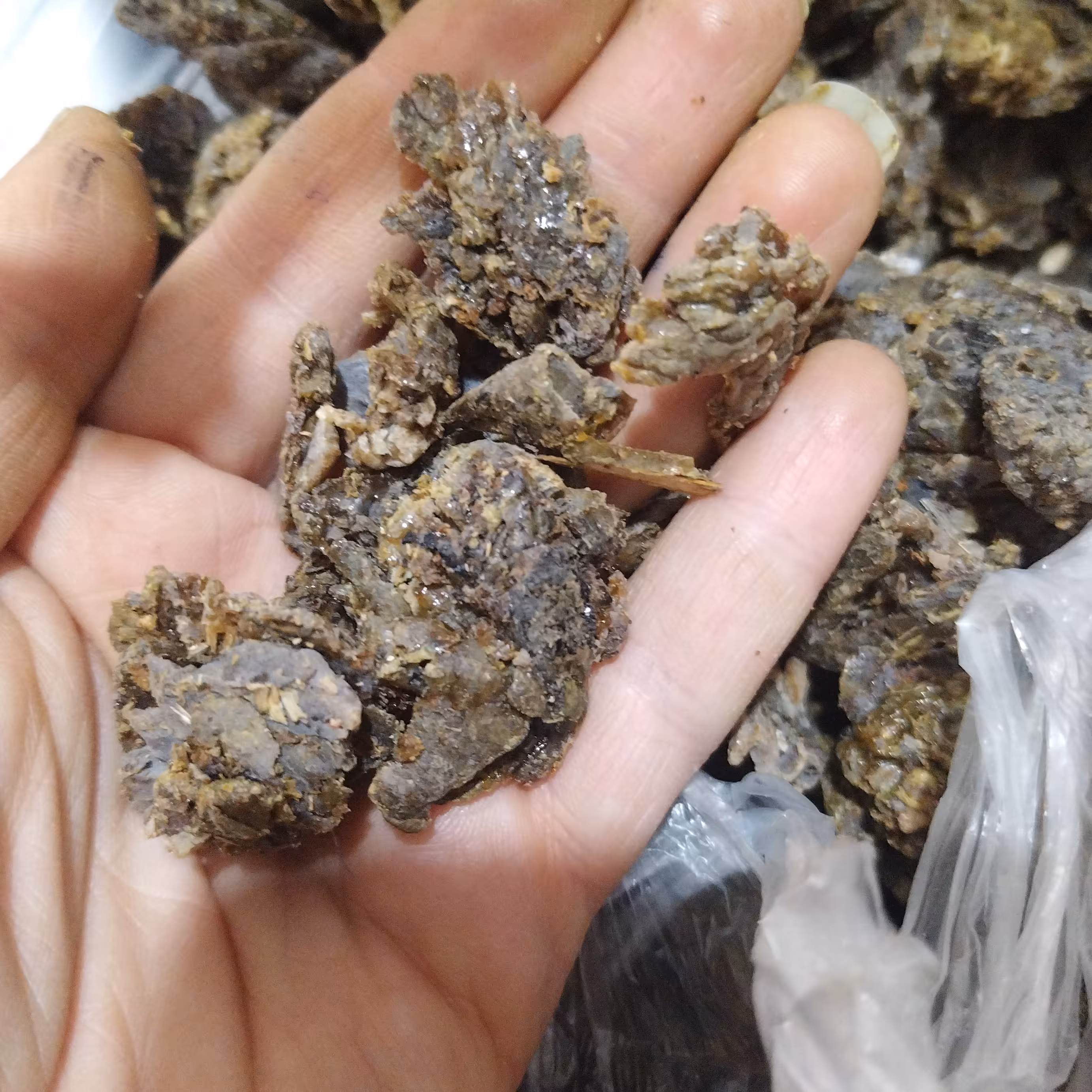 بره موم اصل زنبور عسل 60  گرمی 