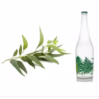 عرق بید (1 لیتری) کارون