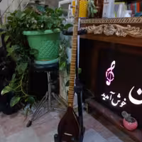 سه تار  ذوالقدر  تک مهر همرا ه با هاردکیس